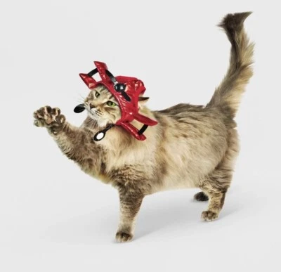 Hyde & EEK Cat Biplane Hat Halloween Costume Airplane Hat - Image 1 of 2