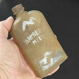 "Bayberry Mist" Cologne Bottle Frosted Glass w/ Sea Gulls Thomas G. Blakeman - Picture 1 of 8