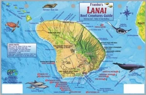 Guide to Lana'i, Reef Creatures - Picture 1 of 1