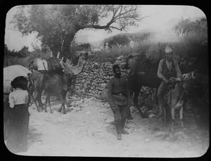 ANTIQUE Magic Lantern Slide CAMELS HALICARNASSUS C1912 PHOTO BODRUM TURKEY - Picture 1 of 2