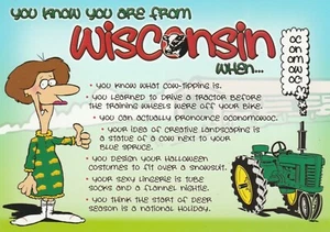 Sai che sei del Wisconsin quando ricordo fumetto cartolina continentale non spedita - Foto 1 di 2