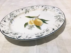 Williams Sonoma Meyer Lemon Oval Serving Platter - Picture 1 of 7