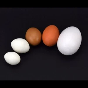 Legeeier Kunsteier Nesteier Gipseier Fasanen Hühner Tauben Gänse Enten Eier - Bild 1 von 10