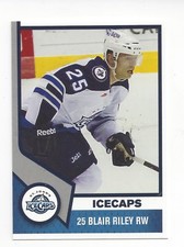 2013-14 St. John's IceCaps (AHL) Blair Riley 