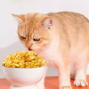 Alimento liofilizado para mascotas bocadillos para gatos bocadillos para perros pollo canino liofilizado Q9S5 - Imagen 1 de 11