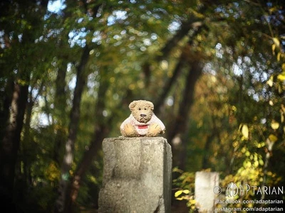 Carl Zeiss TEVIDON 25/1.4 converted to Micro 4/3 with infinity focus | SAMPLES - Image 1 of 4