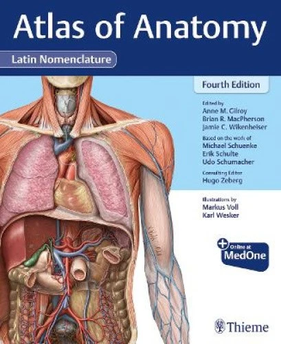 Atlas of Anatomy, Latin Nomenclature  + Online at MedOne by Gilroy, Anne M. - Imagen 1 de 1