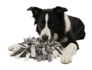Dog Snuffle Mat Interactive Feeding Toy Slow Feeder Pet Nosework Training Blanke - Picture 1 of 5