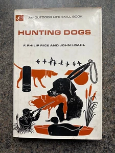 gun dogs hunting shooting Rice training field trials breeding - Imagen 1 de 3