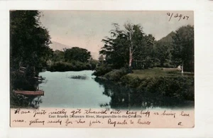Postal de 1907 UDB East Branch Delaware River Margaretville Catskills Nueva York - Imagen 1 de 2