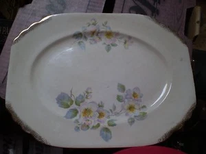 AMERICAN LIMOGES  FLORAL PLATTER - Picture 1 of 6