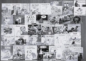 Fountas & Pinnell LLI Green System Complete Set 1-130 Take-Home Books Level A-K - Imagen 1 de 17