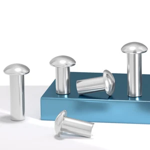 304 Stainless Steel Round Head Solid Rivets GB867 Pan Head Fasteners M2m2.5-M6 - Picture 1 of 12