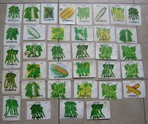 Lot of 35 Old Vintage - BEANS - PEAS - CORN - SEED PACKETS - Lone Star - EMPTY - Picture 1 of 4