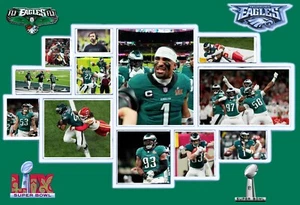 Philadelphia Eagles SuperBowl LIX Champions - Picture 1 of 1