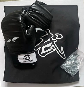 Punch Bag for Boxing Training with Punching Gloves - Picture 1 of 2
