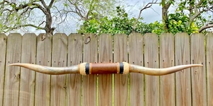 XLg MOUNTED STEER BULL HORNS COW BOY HORN LONGHORNS 5' ft 66" Tip to Tip LONG #6 - Picture 1 of 8