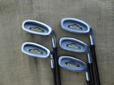 Warrior TRUE LIES 2000 #3,4,5,8,9 Opciones de Hierro ⛳ Grafito ⛳ TÚ ELIGES Foto 1 de 4