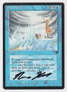 Signed Part Water HP Legends English Artist NeNe Thomas 1994 MTG Magic Vintage! - Picture 1 of 2