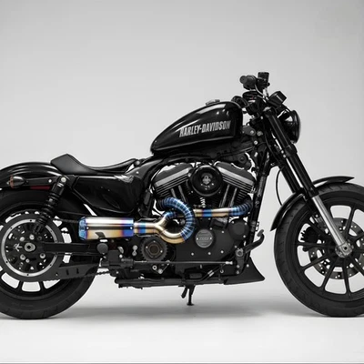 Tubos de escape ajuste personalizado Harley Davidson Sportster Iron 883 1200 - 2 en 1  Foto 1 de 4