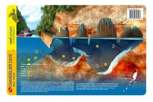 Chandelier Cave Palau Reef Smart Waterproof Dive Card - Imagen 1 de 2