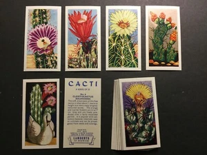 1962 Lambert Cacti Set of 25 Cards Sku334N - Picture 1 of 1