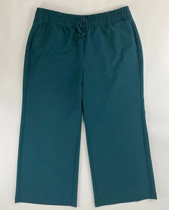 Lane Bryant Womens 16P Dark Green Teal Straight Leg Spandex Dress Pants Pockets - Picture 1 of 10