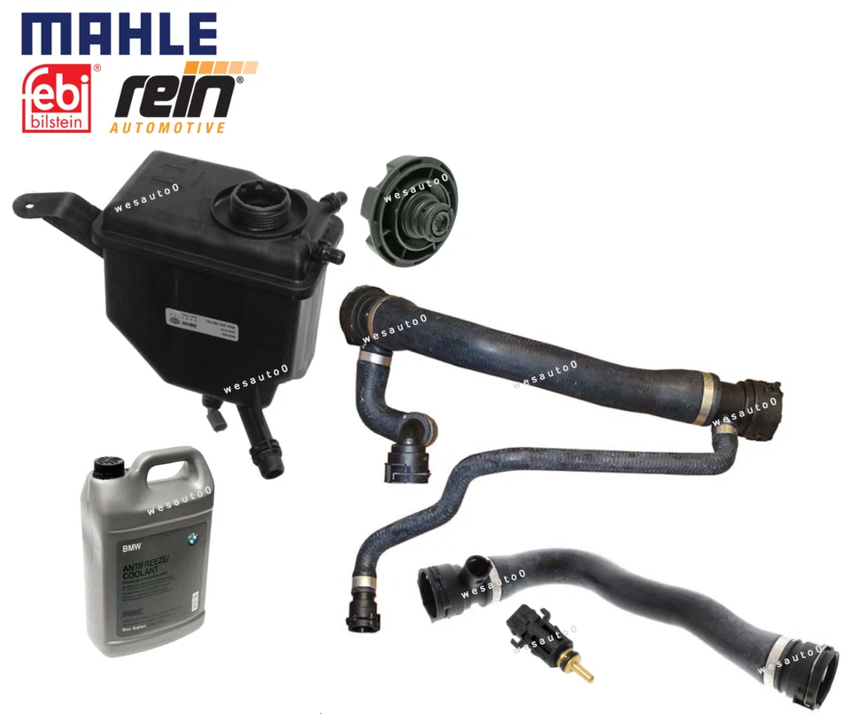 Tapa del tanque de refrigerante superior inferior sensor anticongelante para BMW 545i 645Ci 7 piezas OES Foto 1 de 1