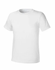 Hanes Boys Ultimate Lightweight T-Shirts 5-Pack - Picture 1 of 4