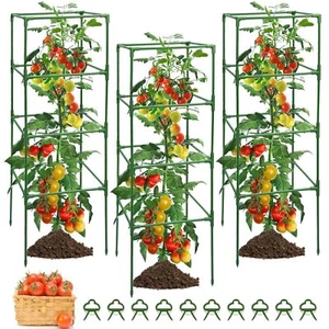 3 Pack Tomato Cage Square Heavy Duty, Tomato Cages for Garden Rustproof - Picture 1 of 9