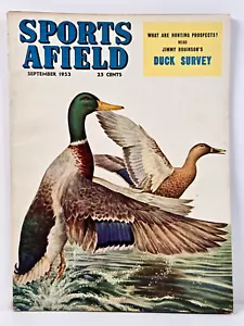 Sports Afield September 1953 Ringtails - Forellenfliegen - Offshore Angeln - Bild 1 von 20
