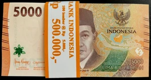 INDONESIA 5000 RUPIAH P-164 2022-2025 x 100 Pcs Lot BUNDLE IDR Currency BANKNOTE - Picture 1 of 4