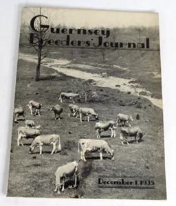 Guernsey Breeders Journal December 1, 1935 Cow Calf Bull Farms Ads Pictures - Picture 1 of 21