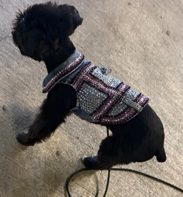 DOG solid BLING  Crystal gem Rhinestone Denim Jacket w/Harness-Leash Ring - Image 1 of 3