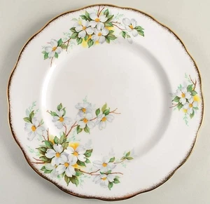 Plato de cena Royal Albert White Dogwood 620419 - Imagen 1 de 1
