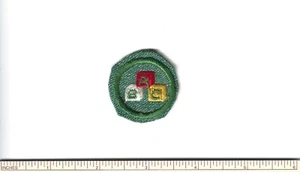 EL GIRL SCOUT CHILD CARE PROFICIENCY BADGE GSUSA INSIGNIA GSA PATCH WAGGGS BLOCK - Picture 1 of 2