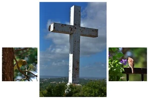 3Pcs Home Canvas Wall Decor Art Painting Picture Print Cross With Praying Birds - Picture 1 of 7