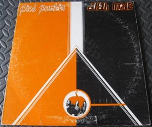 Pied Pumkin - Allah Mode - 1976 Canada LP - Squash First Pressing - Folk - Picture 1 of 3