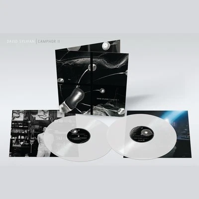 David Sylvian - Camphor II - RSD 2025 sealed  - Image 1 of 2