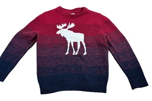 Abercrombie Boy 5/6  Kids Sweater Moose pullover red ombre - Picture 1 of 8