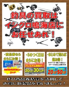 DAIWA 16 STEEZ SV TW 1016SVーH #2867 - Picture 1 of 17