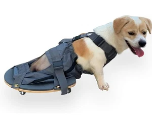 Small Pet Scooter Wheelchair for Rear Legs Paralyzed Dog Protects Chest, Limbs - Picture 1 of 7