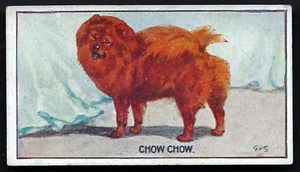 MURRAY - TYPES OF DOGS - #13 CHOW CHOW - Picture 1 of 2