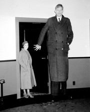 Tallest Man in History Robert Wadlow 1937 Photo
