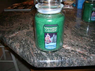 YANKEE CANDLES 1-22-OZ MAGICAL FROSTED FOREST EUCALYTUS  PINE, CEDAR SHIP FREE - Image 1 of 4