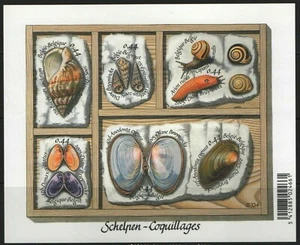Belgium 2005 SG MS 3933 Molluscs Self Adhesive Mint MNH - Picture 1 of 1