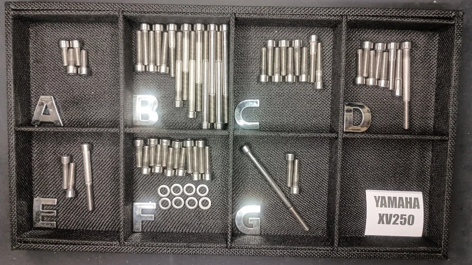 Yamaha Virago 250 XV250 Vstar 250 XVs250 Polished Stainless Engine Bolt Set - Image 1 of 4