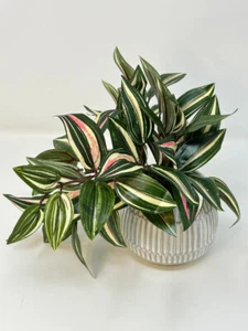 Pequeña planta artificial ROSA JOYA 8" imitación seda PULGADAS en maceta en cerámica gris crema P - Imagen 1 de 8