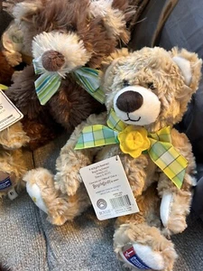 Fünf American Cancer Society Boyds Bären sehr weich und süß - Bild 1 von 8