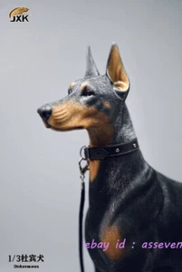 JXK 1/3 Dobermann Cool Dog Modello Decorazione Lusso Regalo Collezione GK In Magazzino - Foto 1 di 8